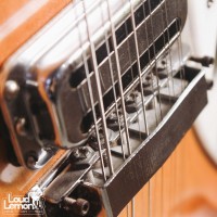 Rickenbacker 330/12 1967 Fireglo электрогитара