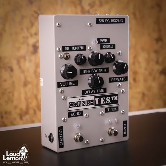 Pete Cornish T.E.S Tape Echo Simulator дилей