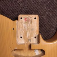 Fender Partcaster AVRI '52 Telecaster 1981-1984 USA Neck - TL52 Telecaster 1980's Body Butterscotch Blonde Japan электрогитара