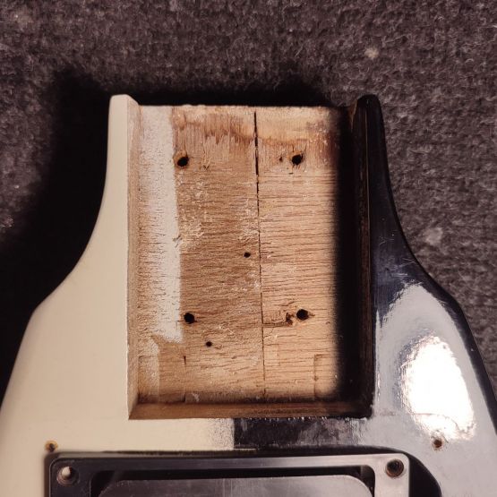 Tomson Michael Schenker Flying V Black & White 1970's Japan электрогитара