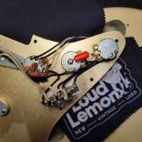 Fender Limited Edition American Professional Stratocaster Solid Rosewood Neck Desert Sand 2020 USA электрогитара