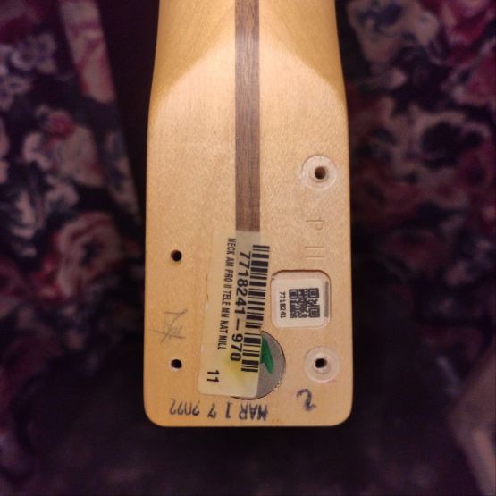 Fender American Professional II Telecaster Butterscotch Blonde 2022 USA электрогитара