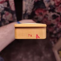 Fender American Professional II Telecaster Butterscotch Blonde 2022 USA электрогитара