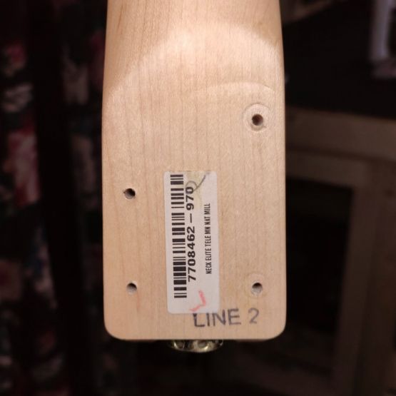 Fender American Elite Telecaster Thinline Champagne 2019 USA электрогитары