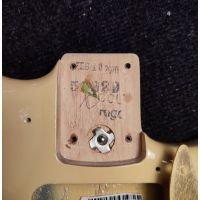 Fender Limited Edition American Professional Stratocaster Solid Rosewood Neck Desert Sand 2020 USA электрогитара