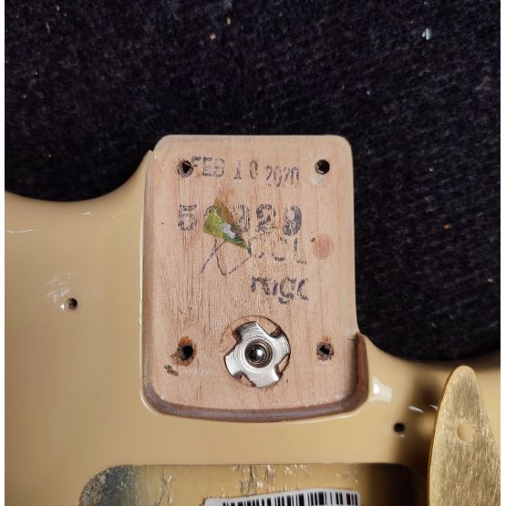 Fender Limited Edition American Professional Stratocaster Solid Rosewood Neck Desert Sand 2020 USA электрогитара