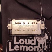 Gibson Limited Edition Les Paul Junior w/ Humbucker Satin White 2010 USA электрогитара