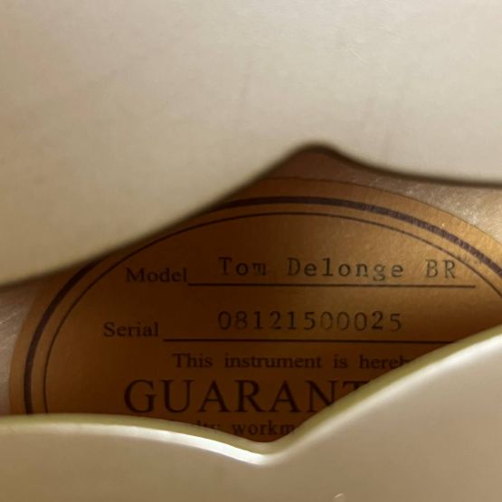 Epiphone Tom DeLonge Signature ES-333 Brown 2008 China электрогитара