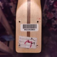Fender Standard Telecaster Chrome Red 2007 Mexico электрогитара