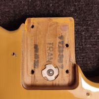 Fender American Professional II Telecaster Butterscotch Blonde 2022 USA электрогитара