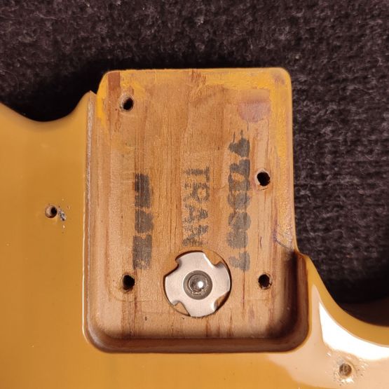 Fender American Professional II Telecaster Butterscotch Blonde 2022 USA электрогитара