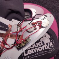 PRS SE Silver Sky Dragon Fruit 2022 Indonesia электрогитара