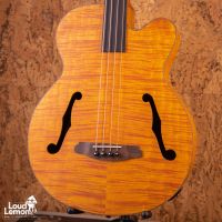 Aria FEB-F2/FL Stained Brown 2020's China электроакустический безладовый бас
