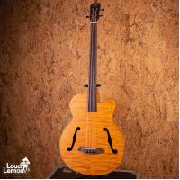 Aria FEB-F2/FL Stained Brown 2020's China электроакустический безладовый бас