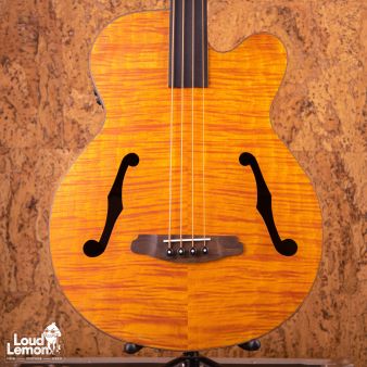 Aria FEB-F2/FL Stained Brown 2020's China электроакустический безладовый бас