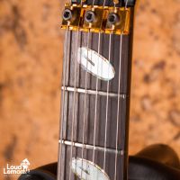 Caparison Horus Limited Edition Black Forest 2004 Japan электрогитара