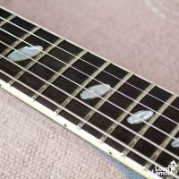 Caparison TAT-ll Snow Storm 2011 Japan электрогитара