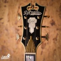 D'Angelico EXCEL SS Viola 2021 Korea электрогитара