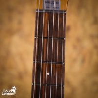Danelectro DC59 Reissue Copper 2020’s China электрогитара