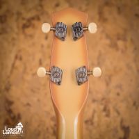 Danelectro Longhorn Bass Copper Burst 2000's China бас-гитара