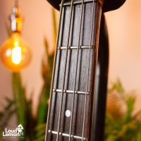 Danelectro Longhorn Bass Reissue Blue Burst 2001 China бас-гитара