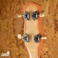 Danelectro Longhorn Bass Reissue Copper Burst 2010's China бас-гитара