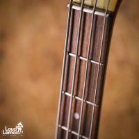 Danelectro Longhorn Bass Reissue Copper Burst 2010's China бас-гитара