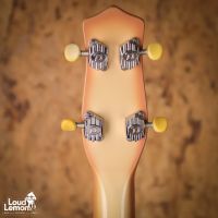 Danelectro Longhorn Bass Reissue Copper Burst 2010's China бас-гитара