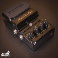 DigiTech Supernatural Ambient Verb China эмбиент ревер