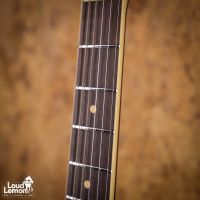Duesenberg Starplayer TV Velvet Series Black Velvet 2025 Germany электрогитара