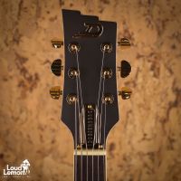 Duesenberg Starplayer TV Velvet Series Black Velvet 2025 Germany электрогитара