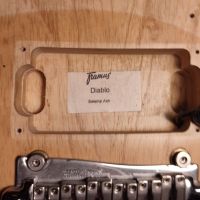 Framus Diablo Natural Satin 2010 Germany электрогитара