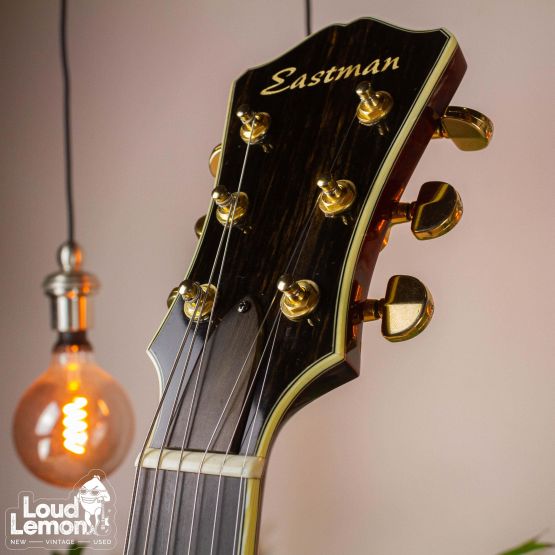 Eastman T-146 SMD Antique Varnish 2010 China электрогитара