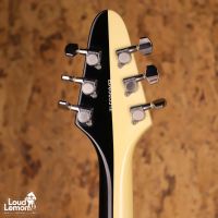Edwards E-FV-105 WB Michael Schenker Flying V Black & White 2005 Japan электрогитара
