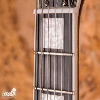 Epiphone Brent Hinds Signature Flying V Custom Silver Burst 2016 China электрогитара