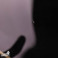 Epiphone Les Paul Custom Ebony 2004 Korea электрогитара