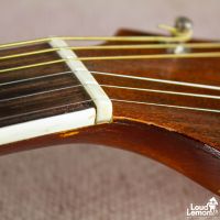 Epiphone Zephyr Sunburst 1944 электрогитара