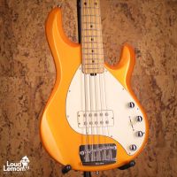 Ernie Ball Music Man StingRay 5 H Desert Gold 2004 USA бас-гитара