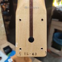 Fender TL-43 Telecaster US Blonde 2003 Japan электрогитара