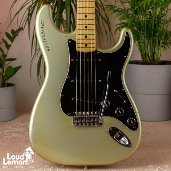 Fender 25th Anniversary Stratocaster Silver Metallic 1979 USA электрогитара