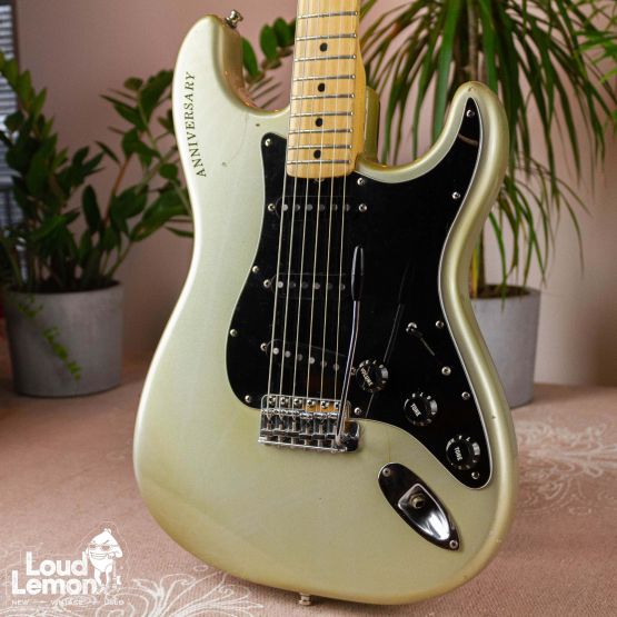Fender 25th Anniversary Stratocaster Silver Metallic 1979 USA электрогитара