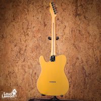 Fender American Professional II Telecaster Butterscotch Blonde 2022 USA электрогитара