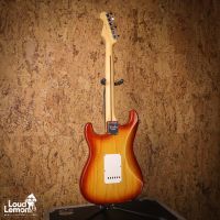 Fender American Professional Stratocaster Sienna Sunburst 2017 USA электрогитара
