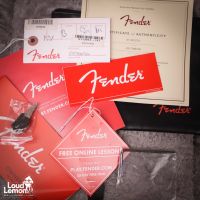 Fender American Professional Stratocaster Sienna Sunburst 2017 USA электрогитара