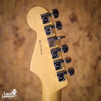 Fender American Professional Stratocaster Sienna Sunburst 2017 USA электрогитара