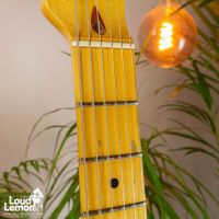 Fender Telecaster Dan Smith Era Sienna Sunburst 1983 USA электрогитара