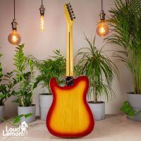 Fender Telecaster Dan Smith Era Sienna Sunburst 1983 USA электрогитара