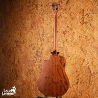 Fender CB100CE NAT Acoustic Bass Natural 2015 China электроакустическая бас-гитара