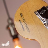 Fender Chris Shiflett Deluxe Telecaster Arctic White 2013 Mexico электрогитара