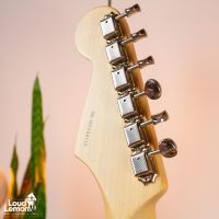 Fender Eric Clapton Blackie Stratocaster Black 2005 USA электрогитара